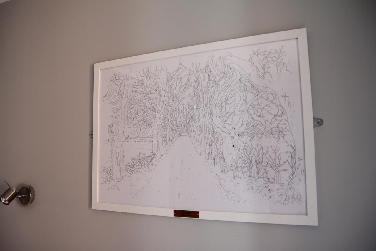 Greenmount Bed And Breakfast Μπέλφαστ Εξωτερικό φωτογραφία